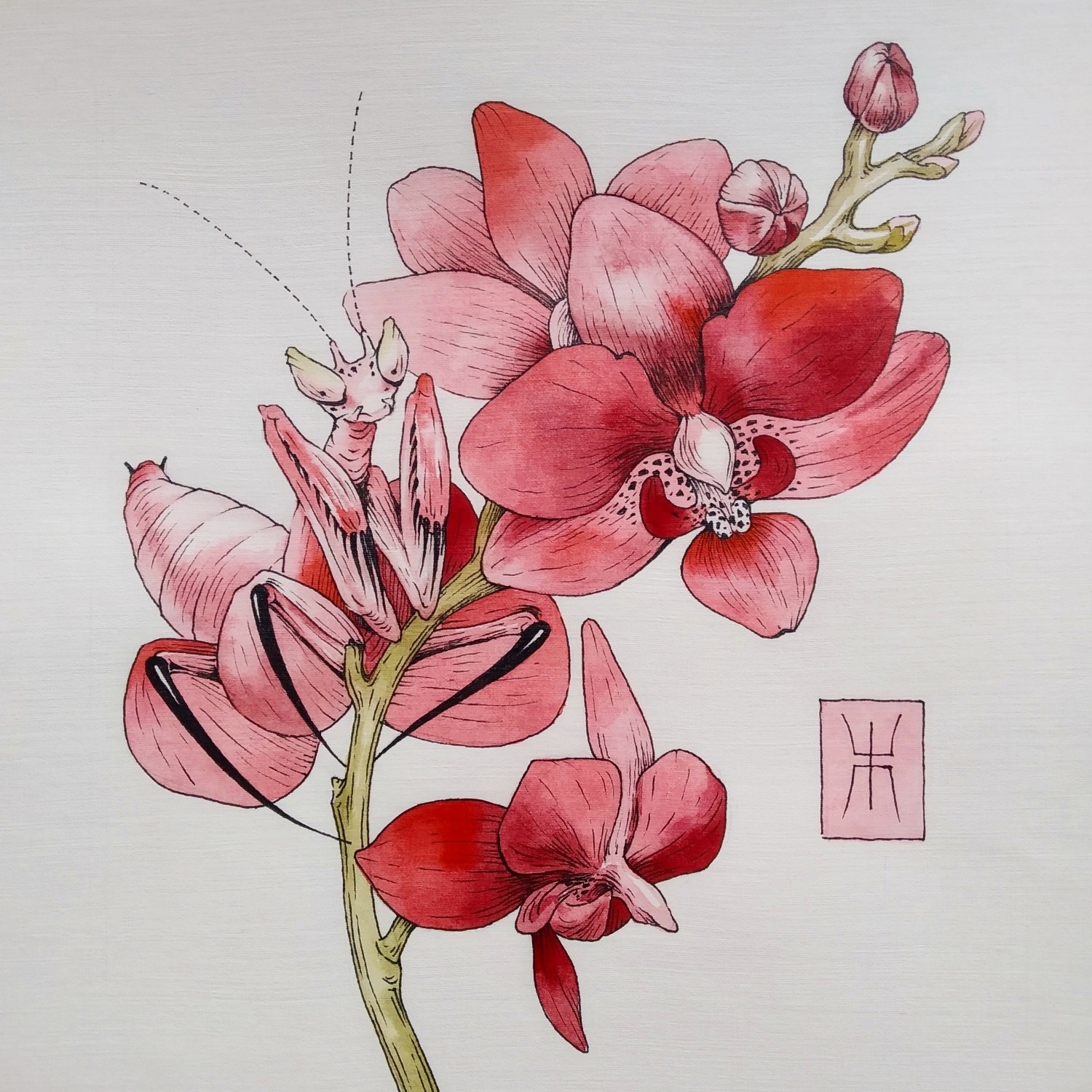 I paint all sorts of things with watercolors. Orchid - My, Watercolor, Traditional art, Painting, Illustrations, Art, Author's painting, Artist, Painting