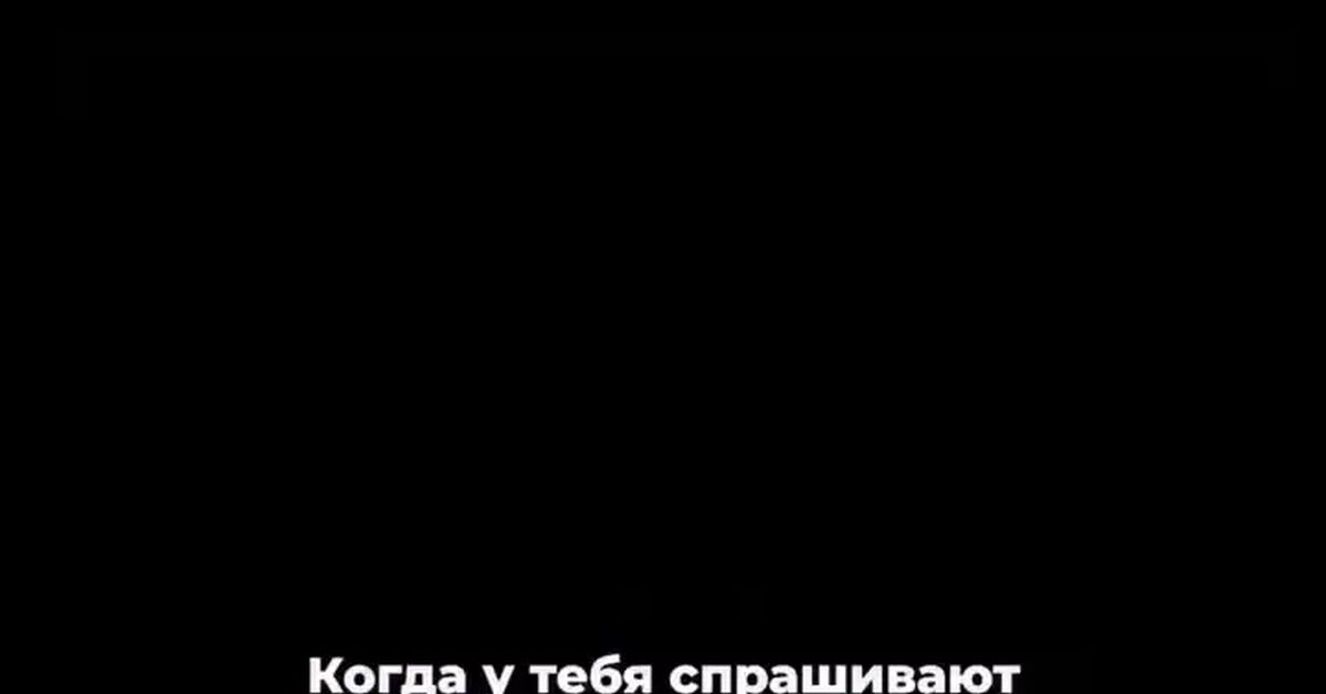 Kotovoe. Monday - cat, Humor, Monday, Video, Vertical video, Short videos, Telegram (link)