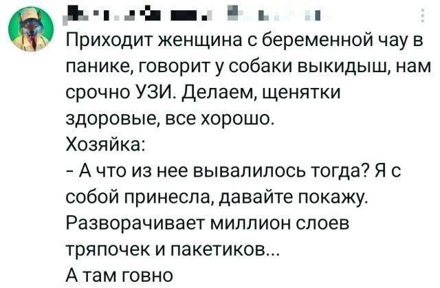 Собака
