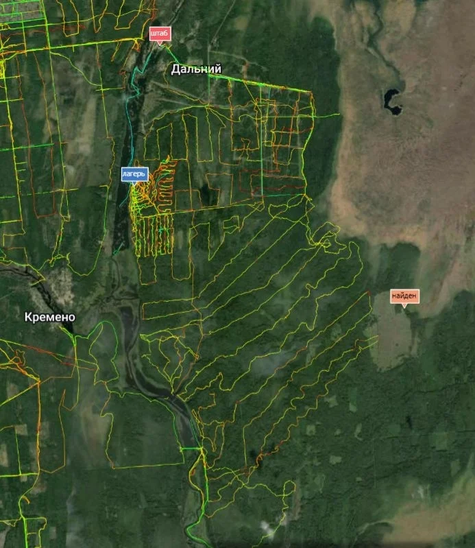 The story of one search that teaches us not to give up - My, Rescuers, Leningrad region, Forest, Extremum, Volunteers, Longpost
