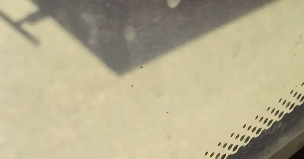 Engels, July 13, 26 - My, Petrol, Gas station, Queue, Auto, Video, Vertical video, Short videos
