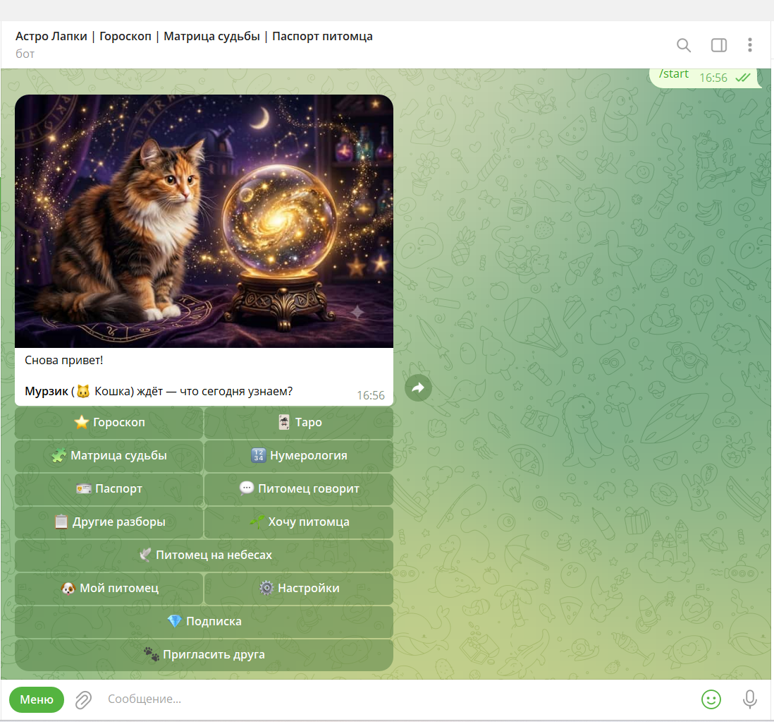 I don't know how to program. But I used AI to create a Tarot bot for cats—and I didn't expect it to go this far. - My, IT, Neural Networks, Artificial Intelligence, MAX messenger, Telegram (link), Claude, Pets, Tarot cards, Horoscope, Startup, Development Diary, Longpost