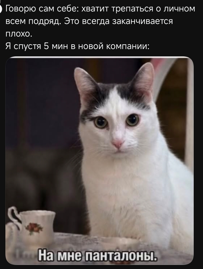 ���� ��������� � �������� �� � ��� �� - ����� �������������