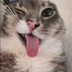 ����� ����� ������ ���� �����������