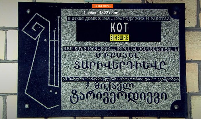 Работающий кот
