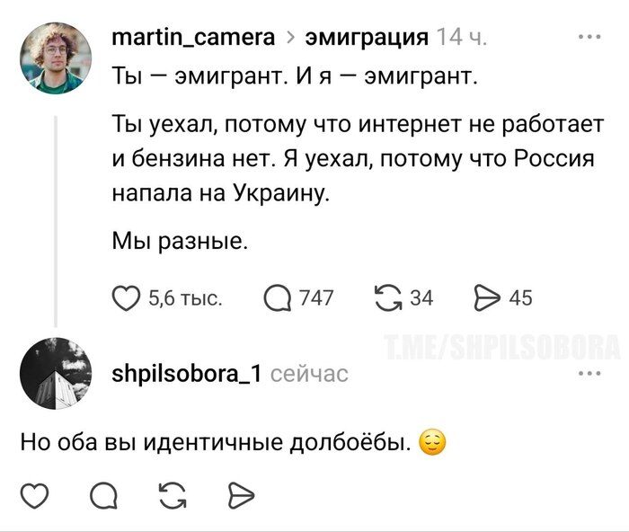 Соевые рефлексии