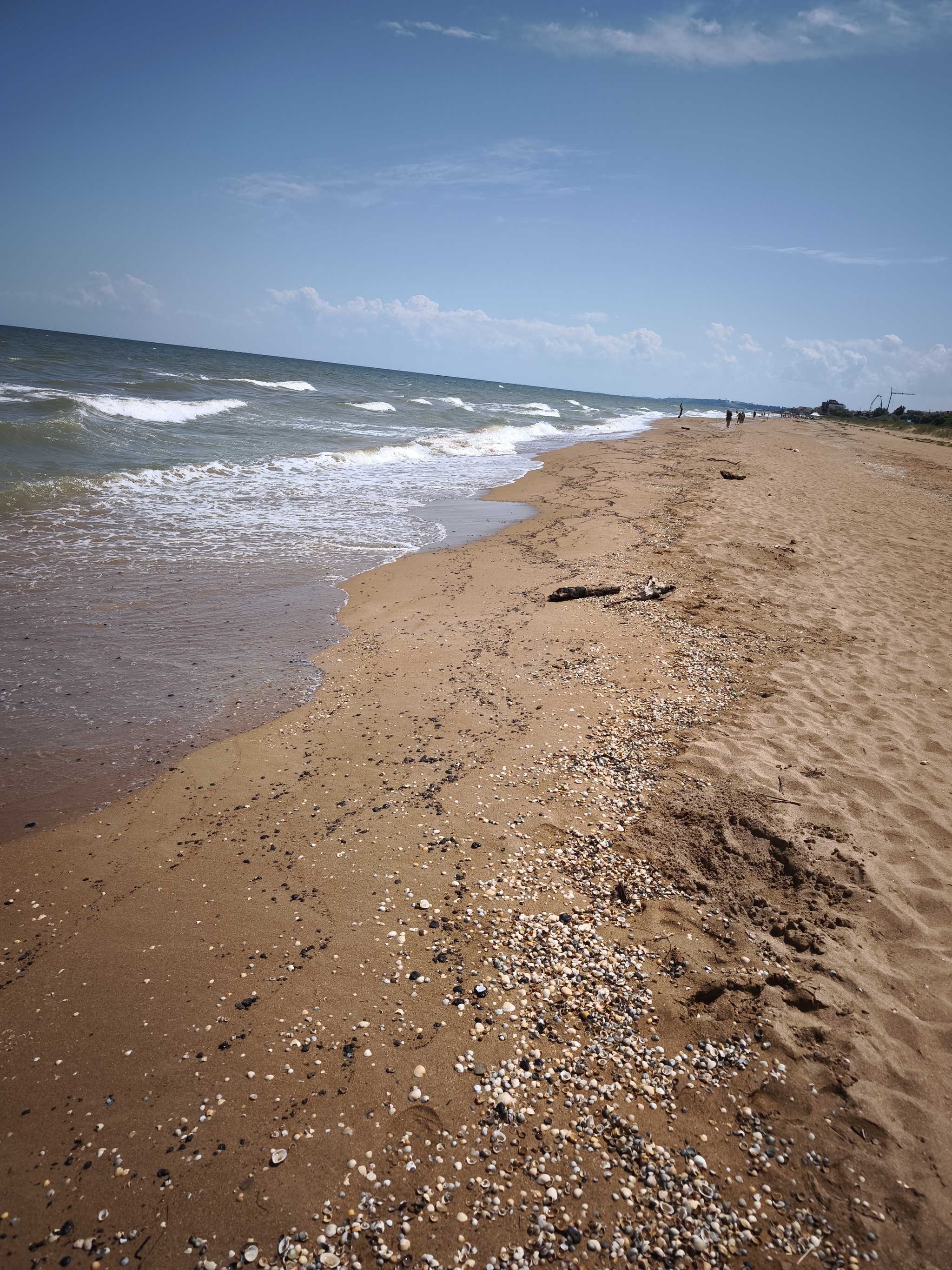 Environmental disaster on the Sea of ??Azov - My, Fuel oil, Fuel oil spill, Azov sea, Video, Short videos, Longpost