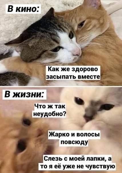 �� ���