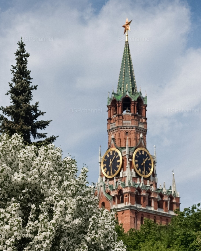 Фотограф: В.Б. Соболев