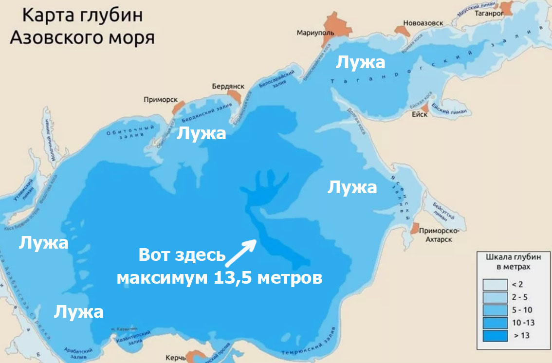 The largest shark to swim in the Sea of ??Azov - Shark, Marine life, Predatory animals, Azov sea, Animals, Wild animals, Zen, Yandex Zen, Yandex Zen (link), Longpost, Katran