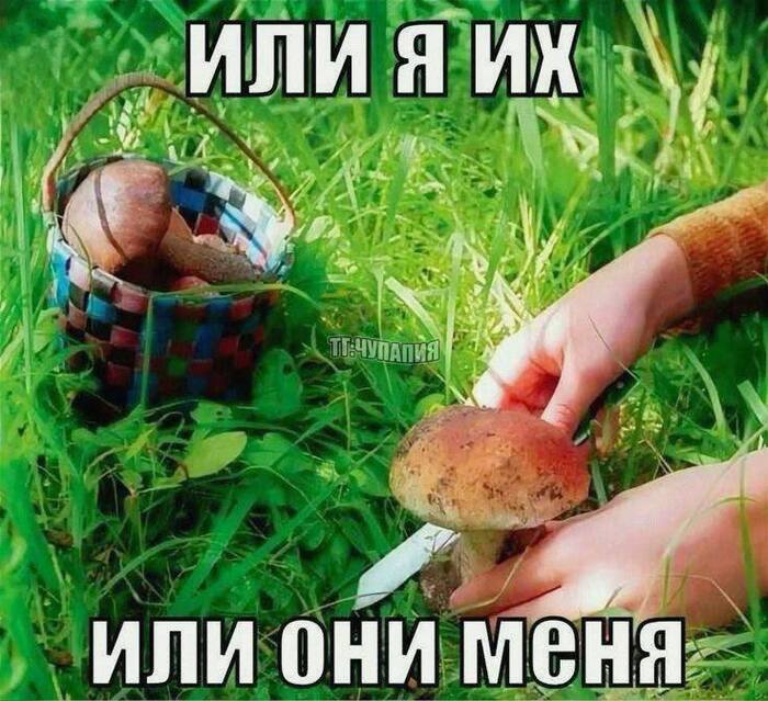 ����� �� � ��