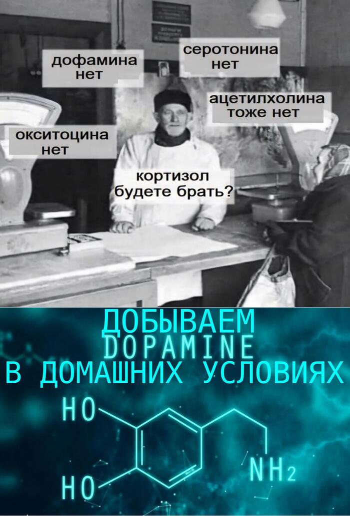 Скажем твёрдое нет, экономии дофамина! Каждому по безмерному и безусловному счастью!