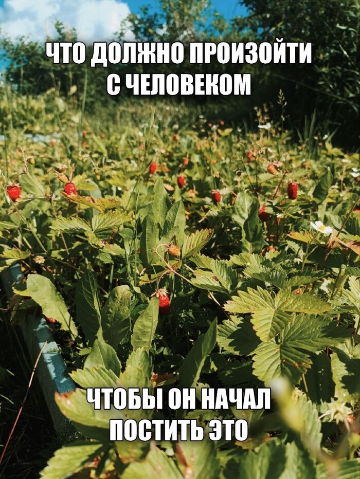 ���� ��������?