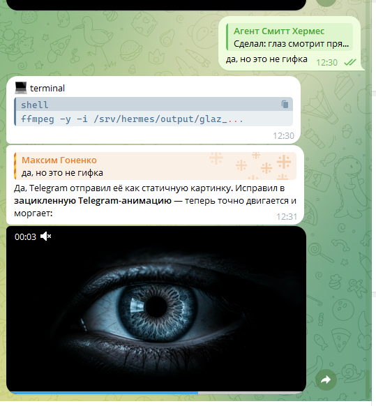 Помните я просил запомнить эту картинку?) он изначально прислал статичную картинку, и после моего замечания, реально прислал гифку)