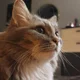 Аватар пользователя user7631231