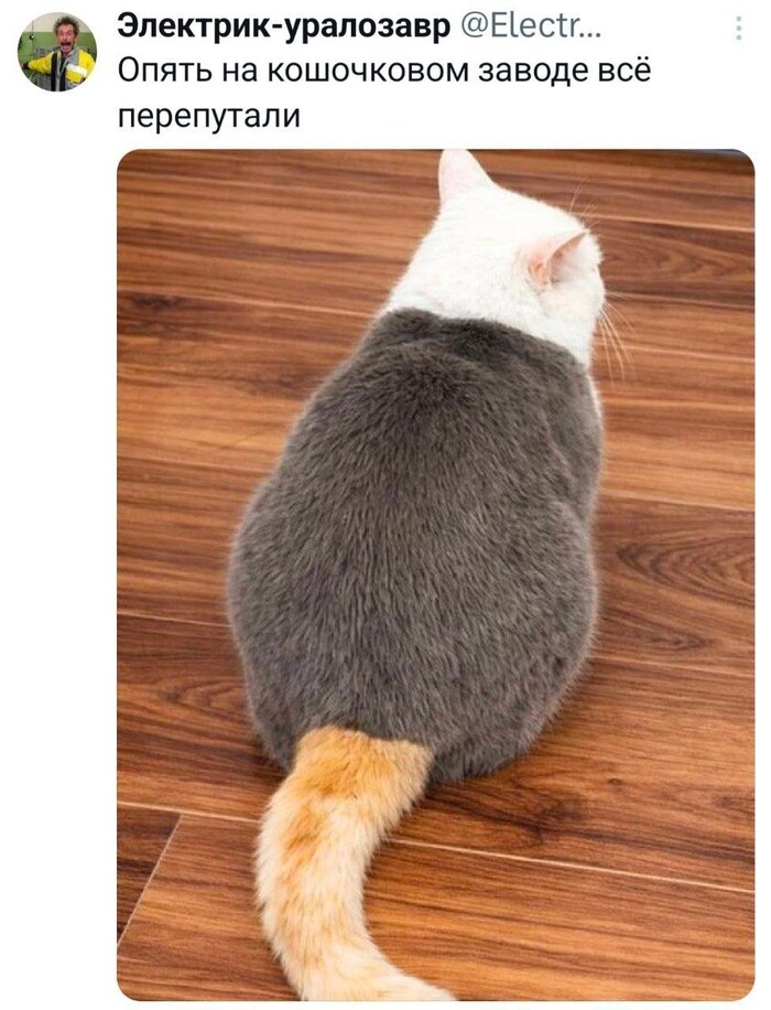Перепутали