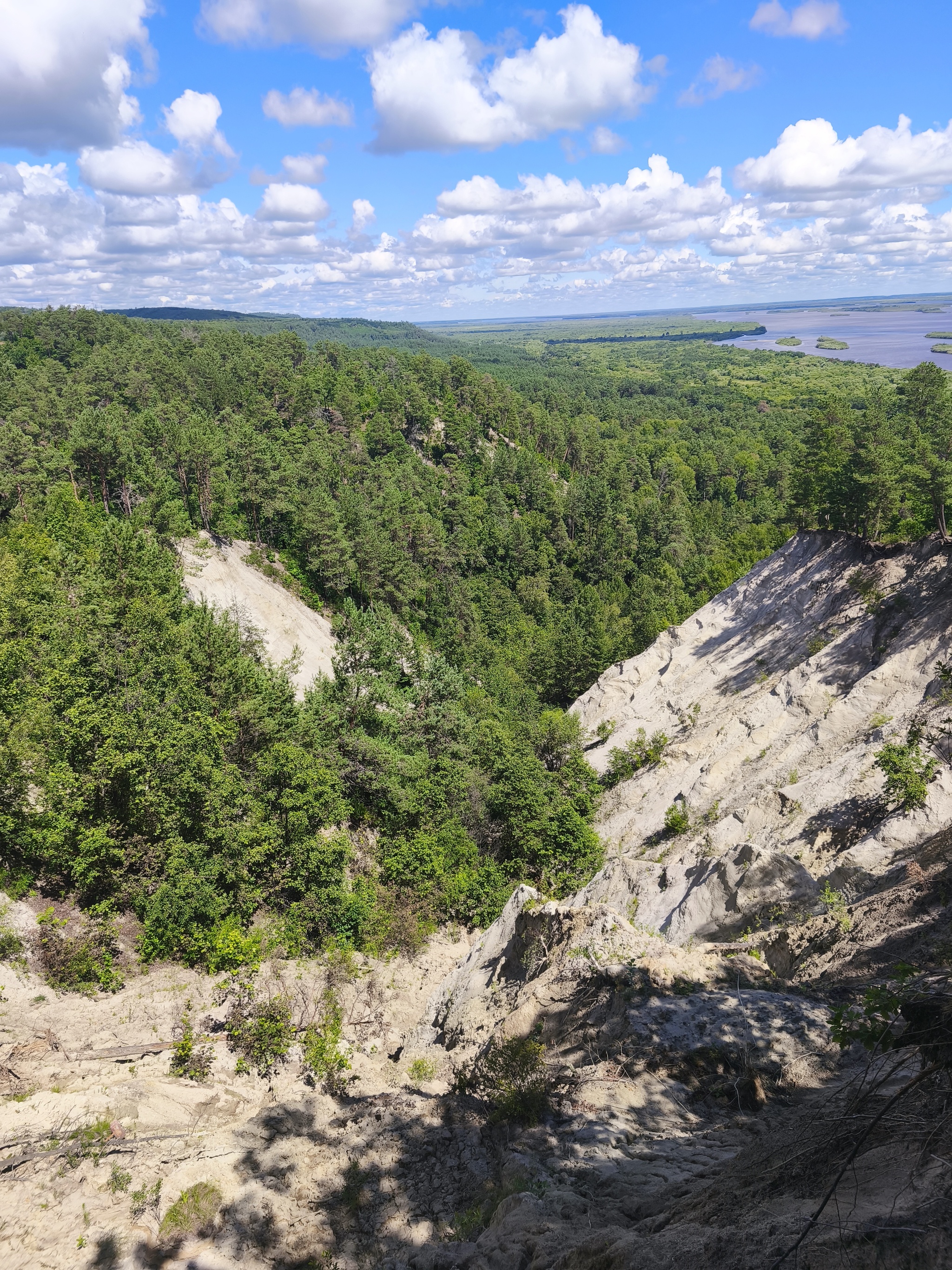 I visited Wolf's Cliff for you - Series Visited for you, My, Blagoveshchensk, Amur region, Nature, Biology, Tourism, Excursion, Forest, Water, River, Zeya, Travels, Russia, The photo, Video, Vertical video, Short videos, Longpost