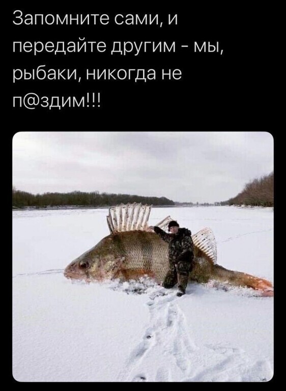 ����� �� ���� �������