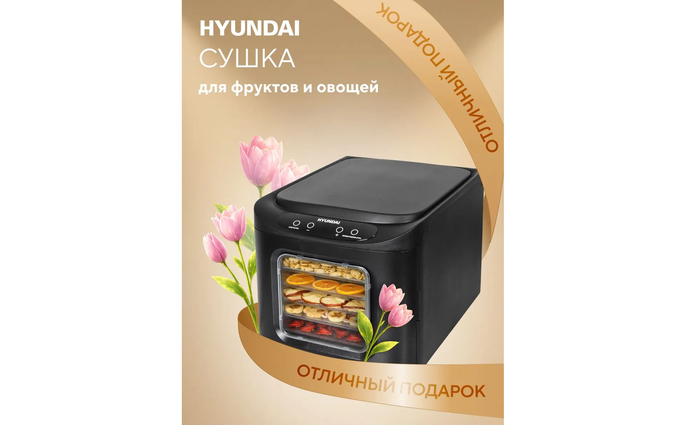 ������������� ������� ���������� Hyundai HYFD-P1203 �� 12 �������� 500 ��.