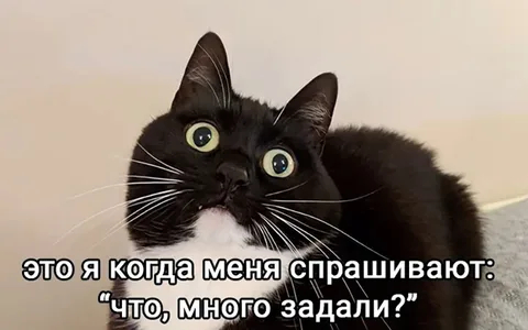 {что ,много задали?}