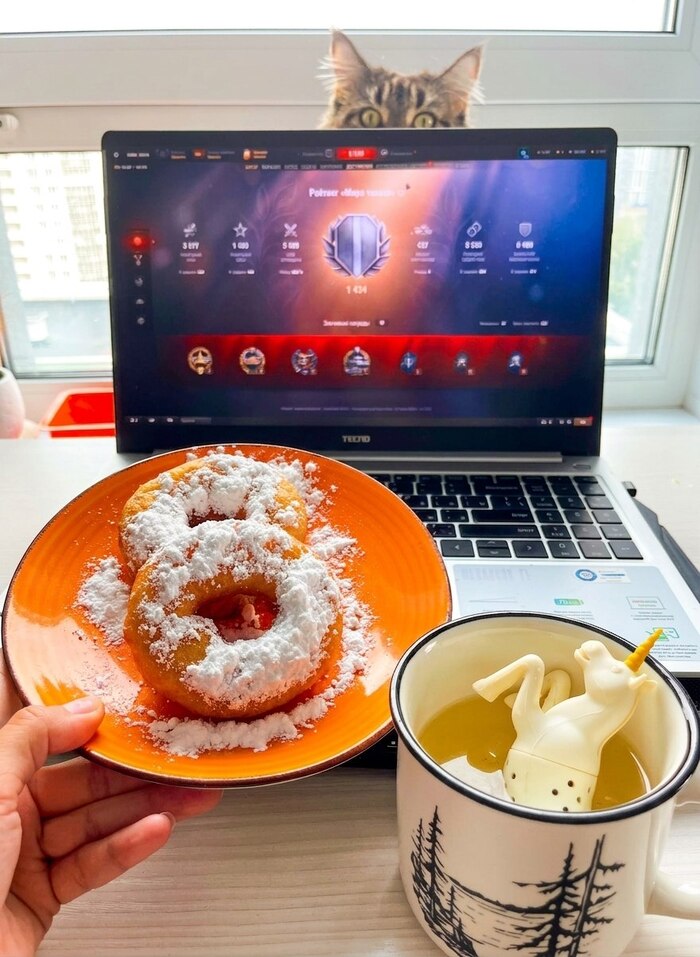 Кот танкует башней
