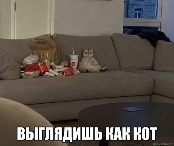 � ��������