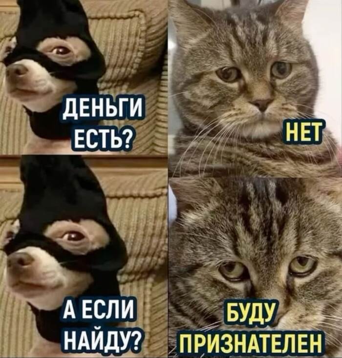 Мон плезир