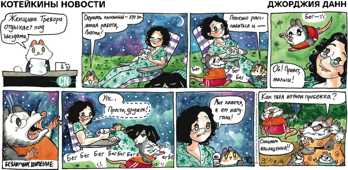 Котейкины Новости от 19.07.2026