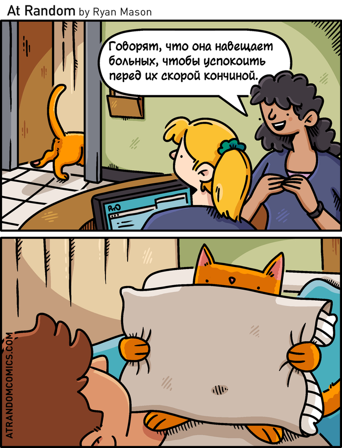Больничная кошка