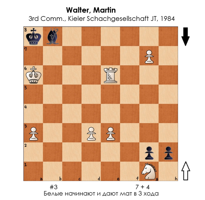 ������������ #264