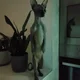 ����� ����� ������ ���� �����������