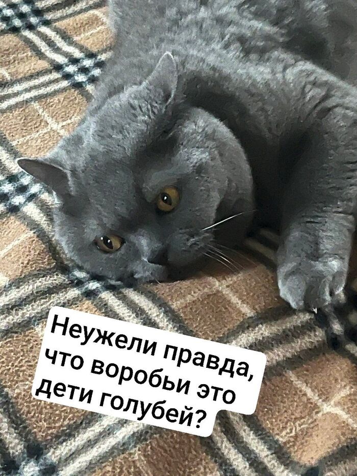 �����