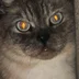 SpaFtl