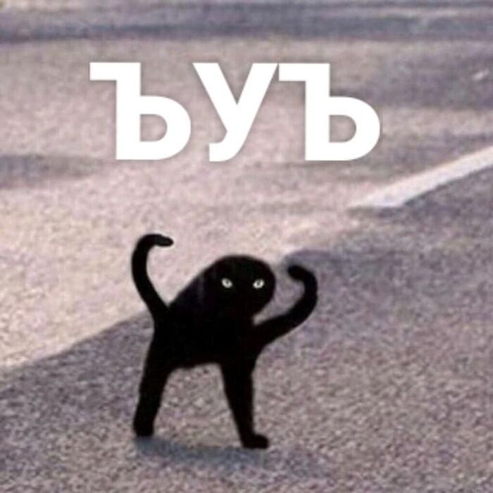 ���� ���� ������ ����� �������� �����������?