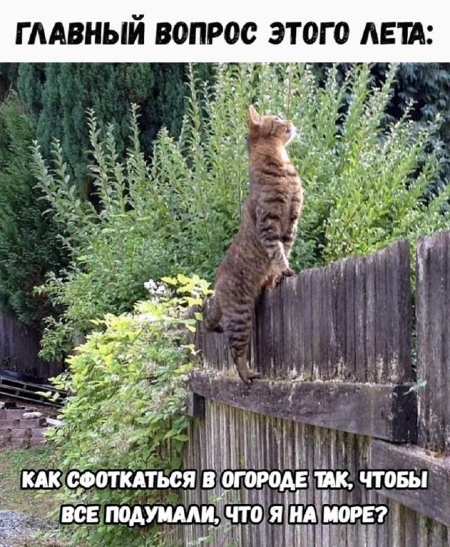 ��, ����!