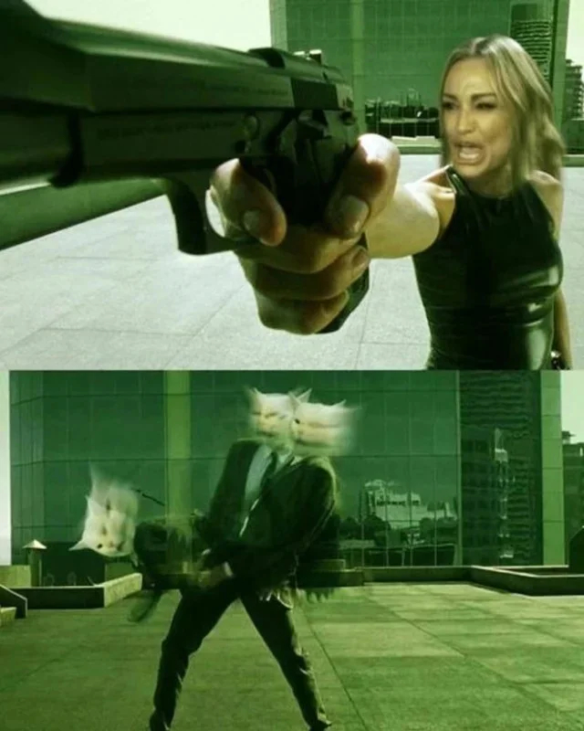 ���� ������ ������ ���������� �������� ���������