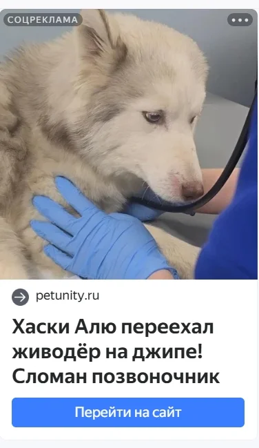 Are animal rights activists inciting hatred towards people? - Misanthropy, Hatred, Stirring up, Advertising, Annoying ads, Deception, Fraud, Internet Scammers, Social advertisement, Negative