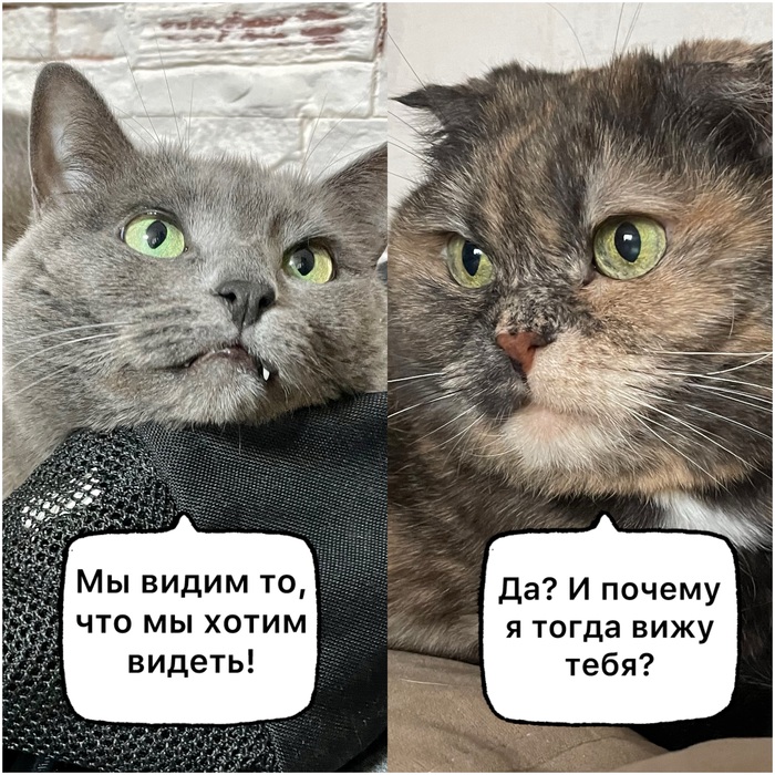 ������� �� ��������
