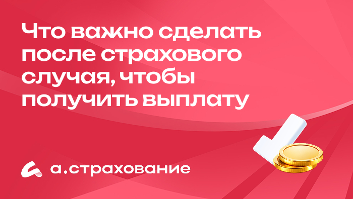 Что важно сделать после страхового случая, чтобы получить выплату