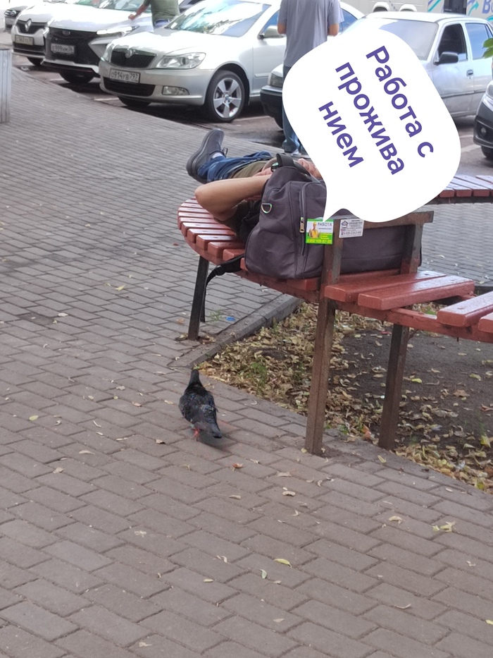 Свободные вакансии