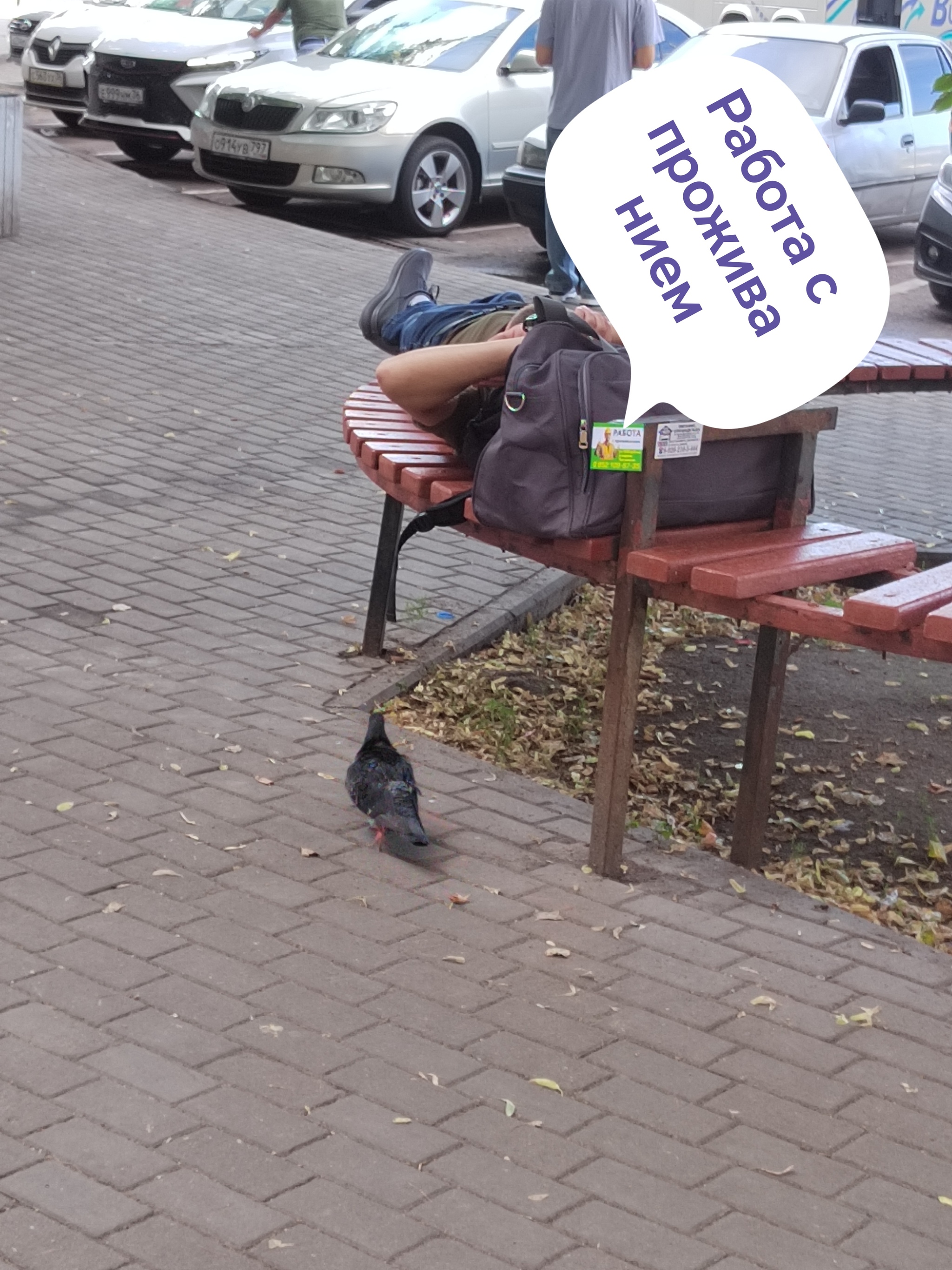 Available vacancies - My, Humor, Работа мечты