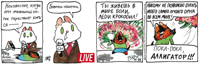 Котейкины Новости от 24.07.2026