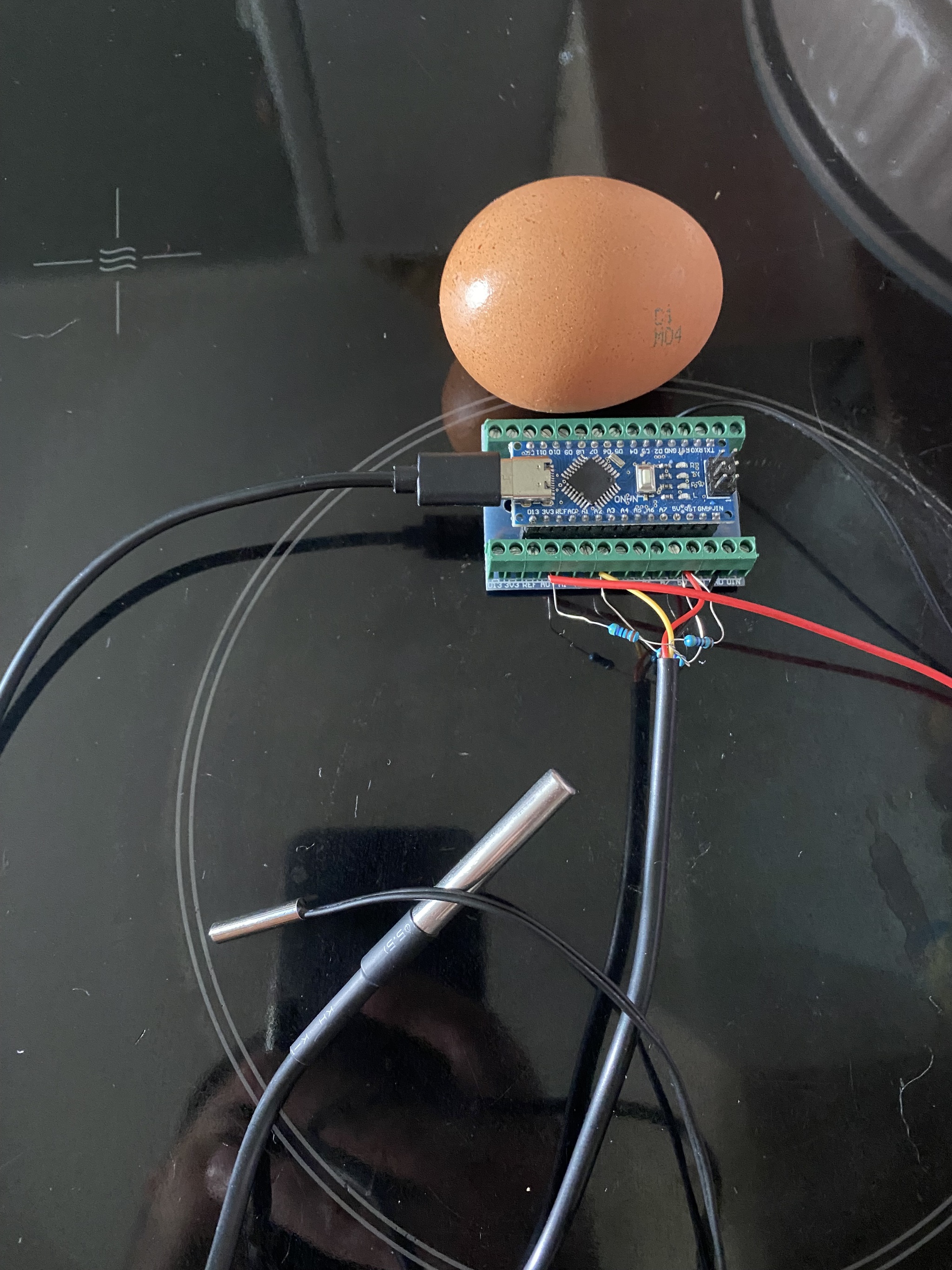 Measuring the temperature of an egg while it's boiling (WHAT THE HELL?!) - My, Cooking, Experiment, Electronics, Longpost