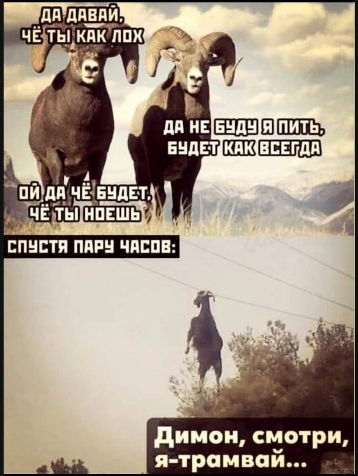 Ответ на пост «Пятница»