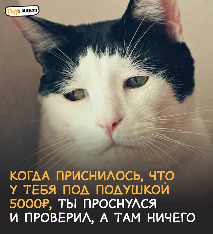 LetsMakeItFun - Series LetsMakeItFun, Memes, Humor, Longpost
