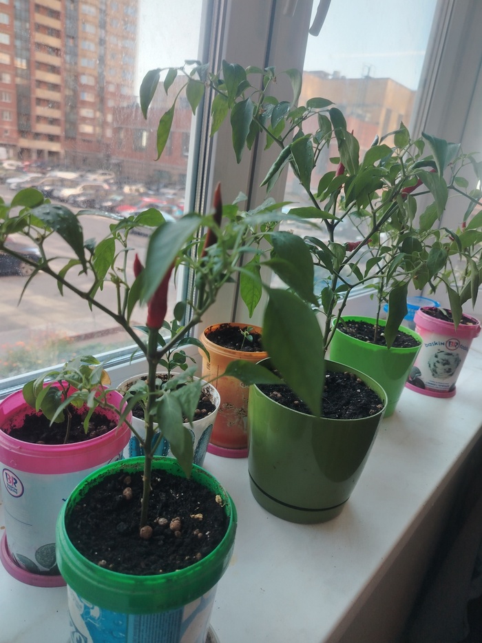 ���� ������ �� ����, �. �. ����� ������ �� ����� � ����. ������, ������� ������ � ������� ��������. �� ����� ��� ������� ����, � �������� ��������������� ������� �� �����. ��� ������� ����������, �� ��������� �����! 