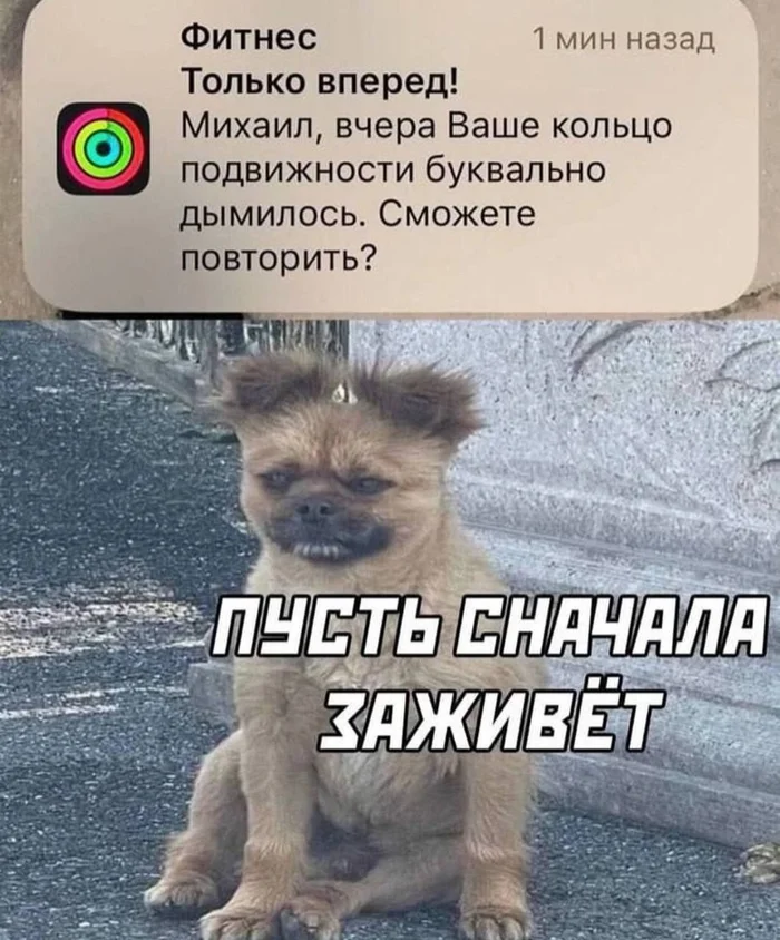 LetsMakeItFun - Series LetsMakeItFun, Memes, Humor, Longpost