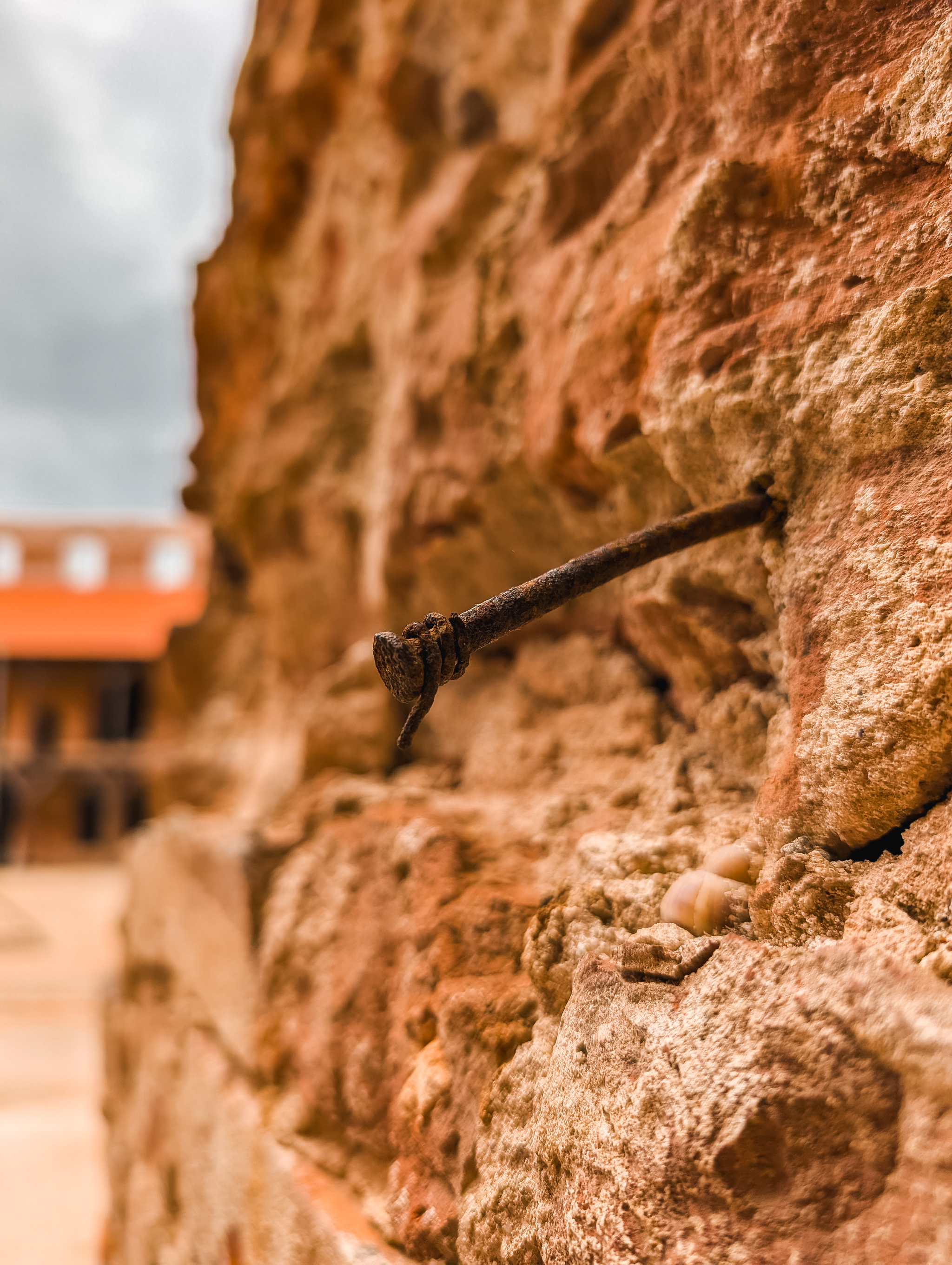 How to Take a Photo of a Ghost in a Castle for Sure - My, The photo, Kaliningrad region, Architecture, Kaliningrad, Positive, Cities of Russia, Humor, Longpost