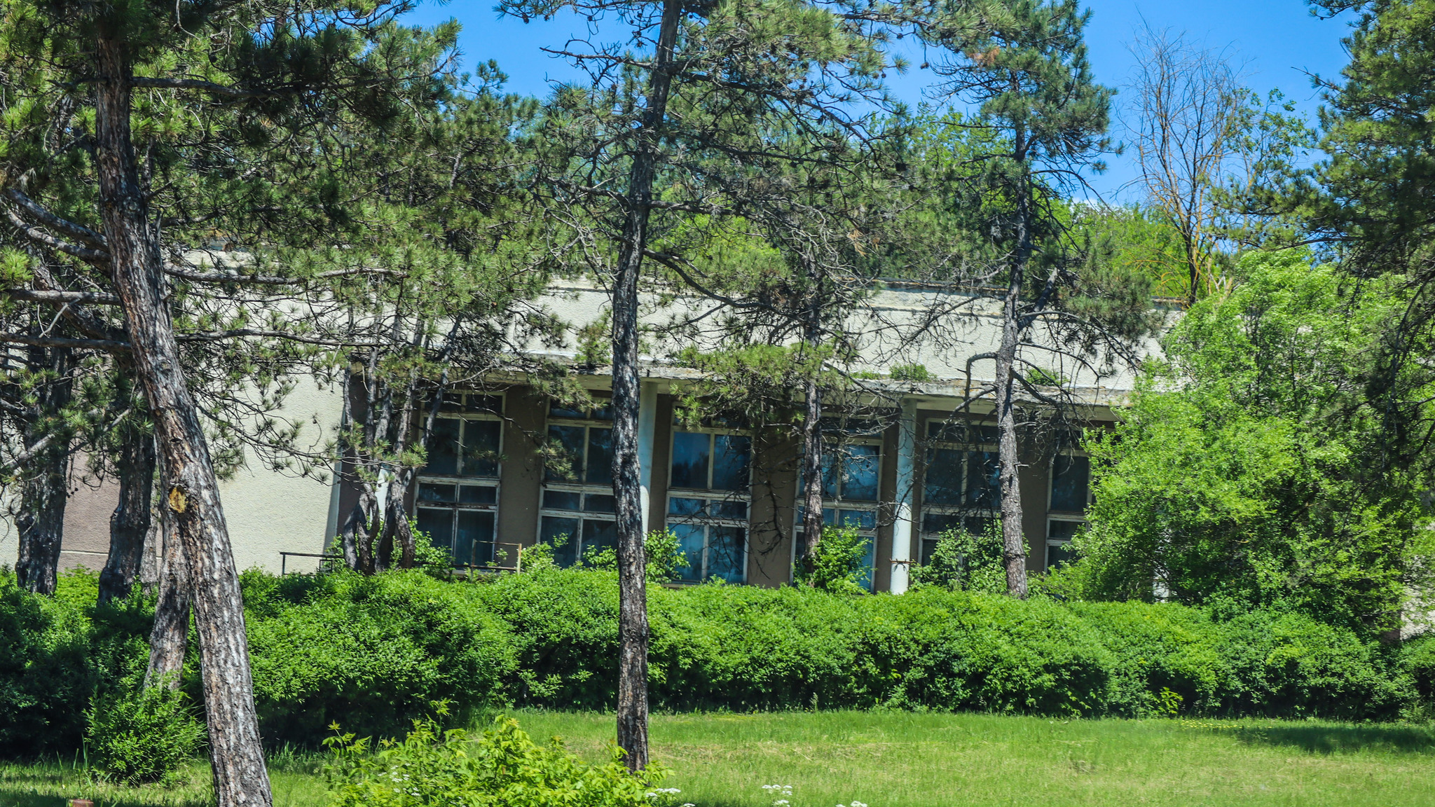 Flesh, PMR - The photo, Village, Transnistria, Mass grave, Memorial, Fascism, Jews, Longpost
