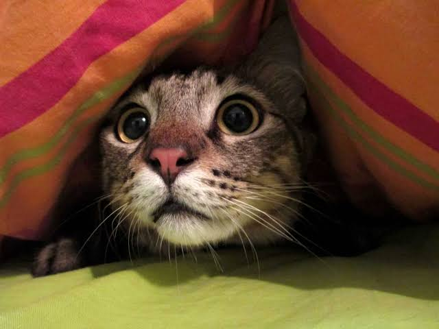��� ����, ����� ���� ������, ��� �� ������������� �� ���������� � ������� ����� ��������� ������������� ������.